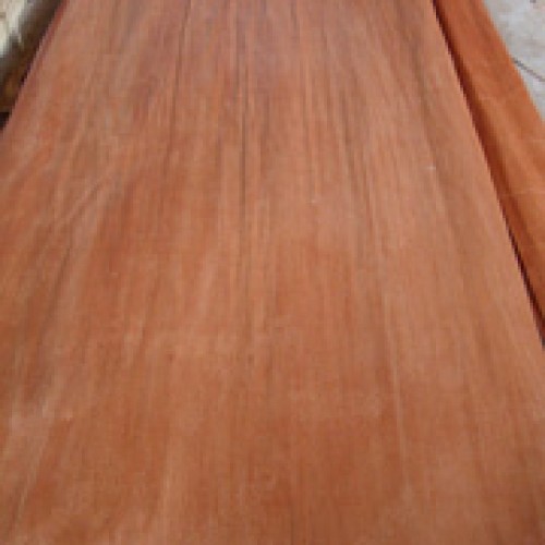 Mlh veneer